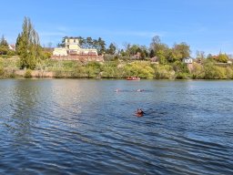 Osterschwimmen Aschaffenburg